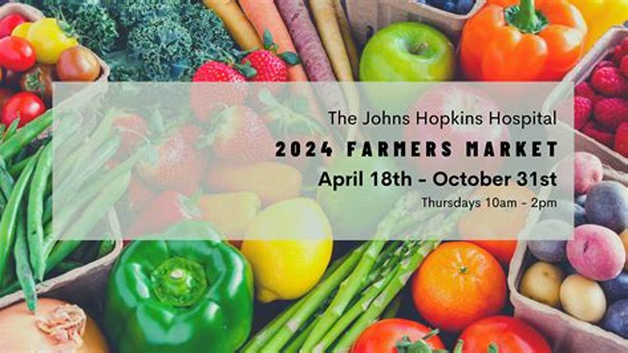 Hopkins Spring Break 2025