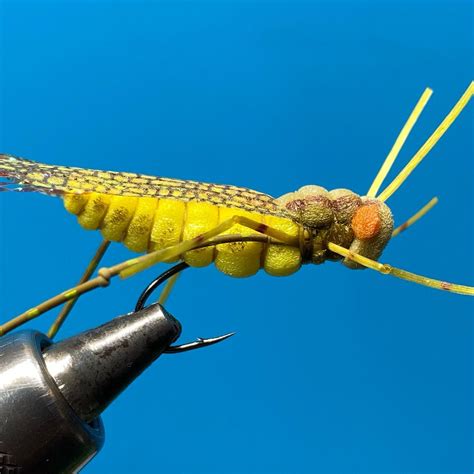 Hopper Fly Patterns