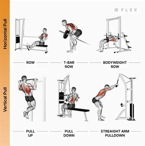 Horizontal Pull Exercises