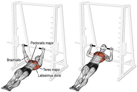 Horizontal Row