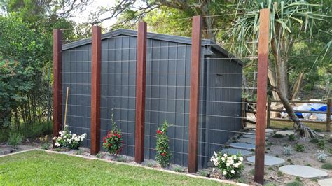 Horizontal Wire Trellis