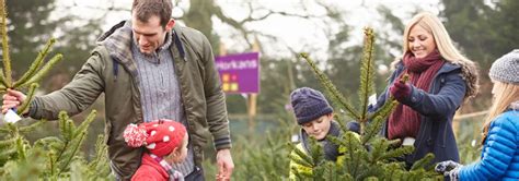 Horkans Christmas Trees