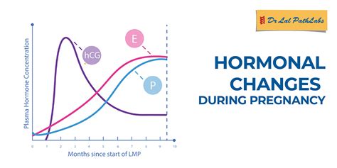 Image of Hormonal changes