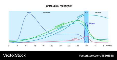 Hormone Pregnancy Levels Chart