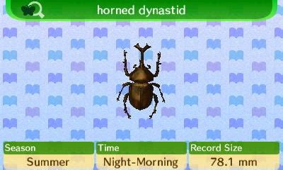 Horned Dynastid in Animal Crossing New Leaf: Catch, Sell and Learn about this Fascinating Insect!