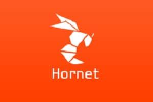 Hornet logo