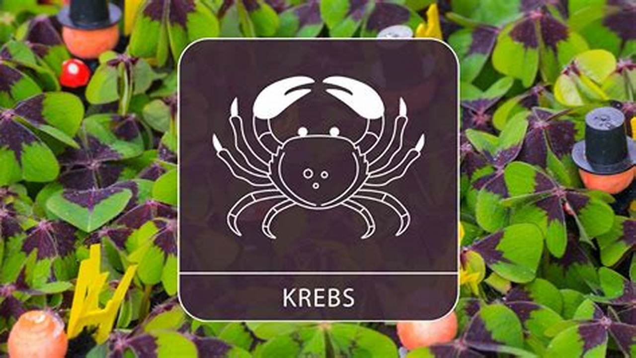 Horoskop Krebs Januar 2024
