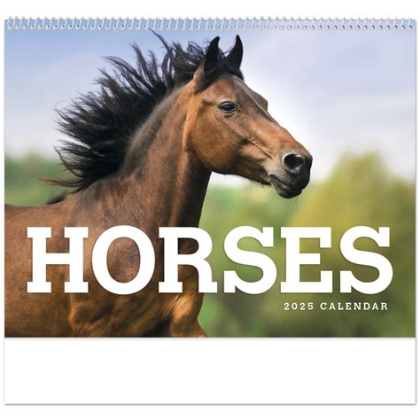 Horse Calendar 2022 Calendars Kramer Equestrian