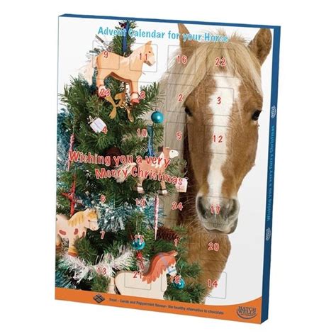 Horse Advent Calendar For Humans