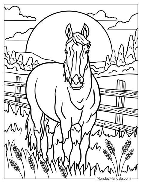 Horse Color Page