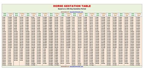 Horse Gestation Calendar