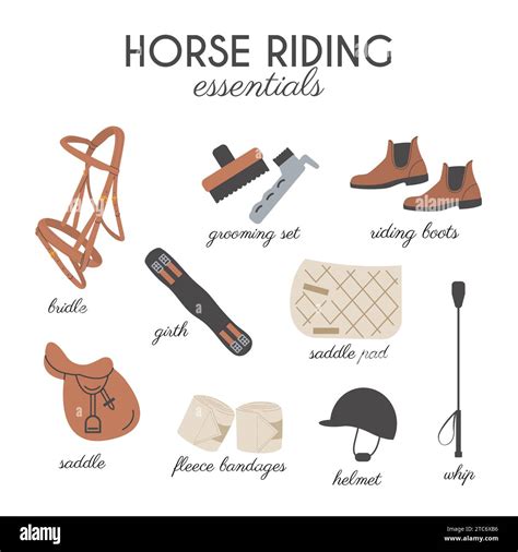 Horse Riding Essentials