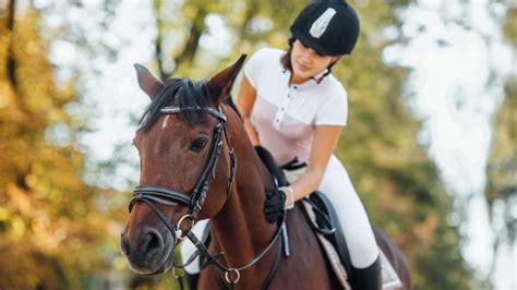 Horse Riding Experience Tips