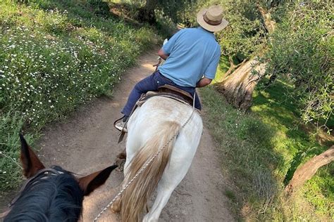 Horse Riding FAQ