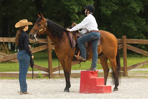 Horse Riding Guide
