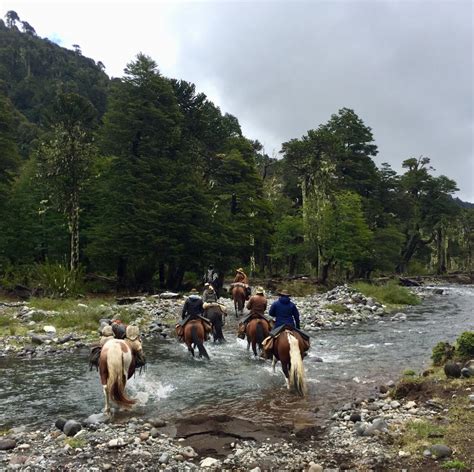Tour guide leading horses in the Andes