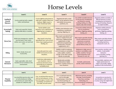 Horse Riding Skill Levels