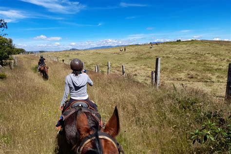 Horse Riding Tour Features