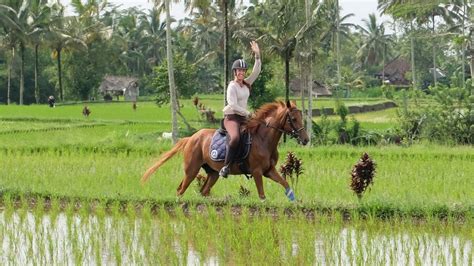 Horse Riding Ubud