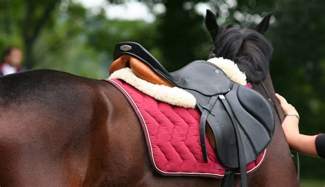 Horse Tack Accessories: Ensuring the Safety of Riders and Horse
