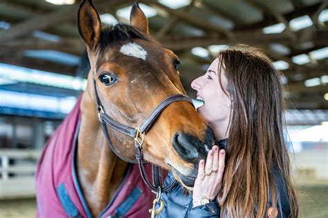 Horse Volunteer Programs Near Me