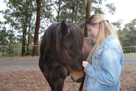 Horse and Human Connection in Therapy