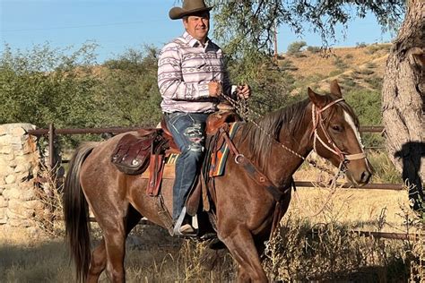 Horseback Ride Expectations