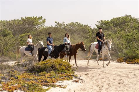 Horseback Riding Excursion Review