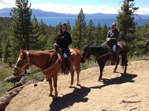 Horseback Riding Guides