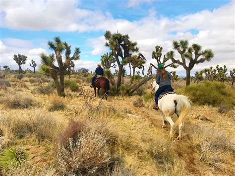 Horseback Riding Joshua Tree