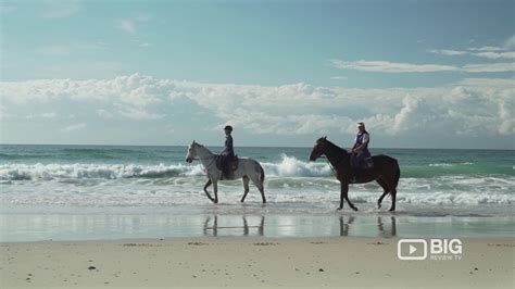 Horseback Riding Operator