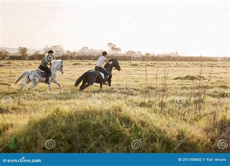 Horseback Riding Pace