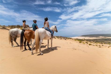Horseback Riding Tour Guide