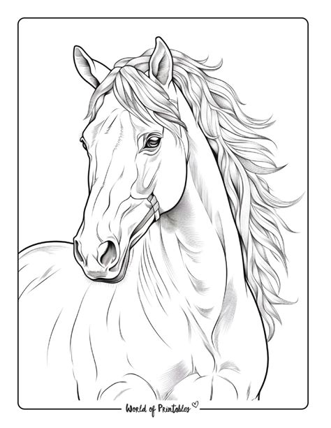 Horses Coloring Pages Images
