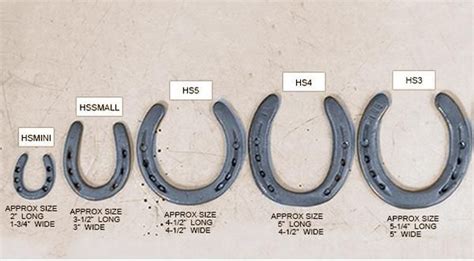 Horseshoe Size Chart