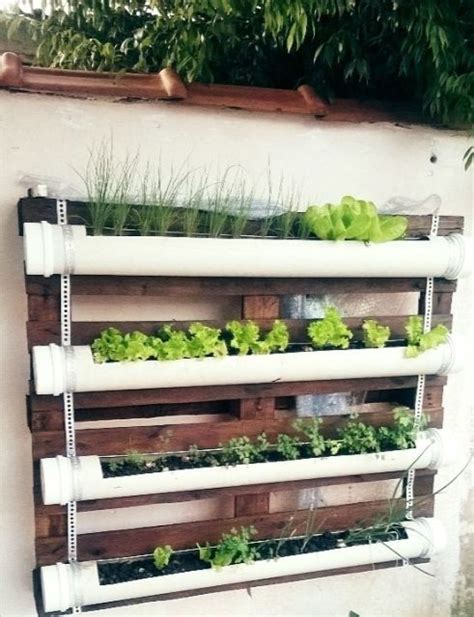Horta No Pallet