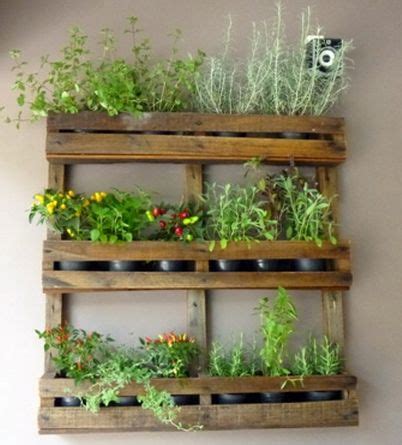 Horta Pallet
