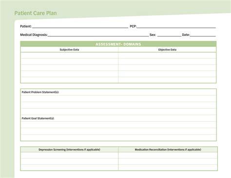 Hospital Care Plan Template