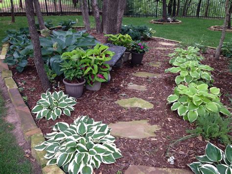 The Beauty Of Hosta Beds Landscape
