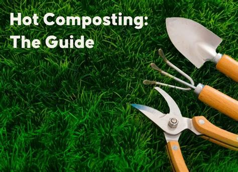 Hot composting: a step by step guide