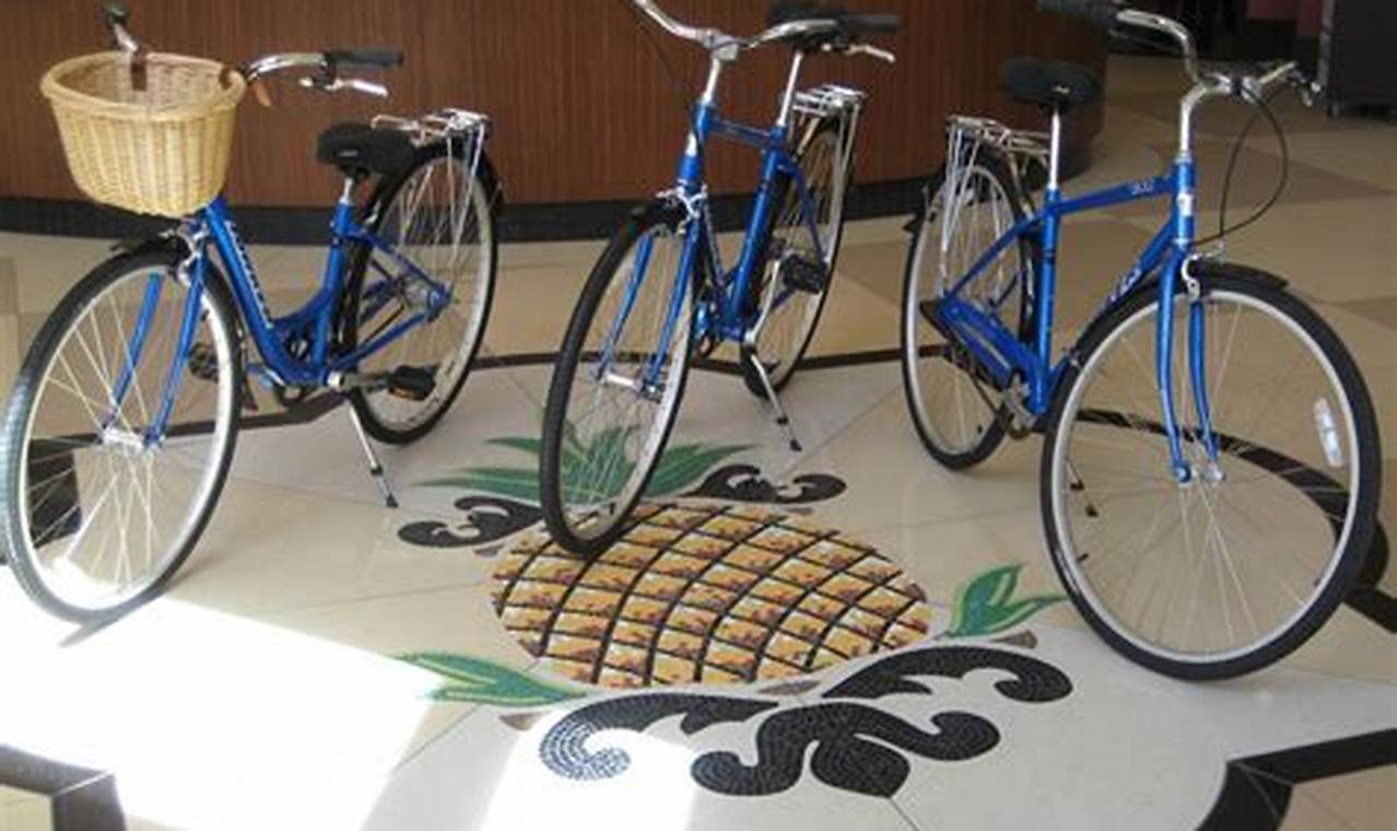 Hotel reviews with complimentary bike rentals
