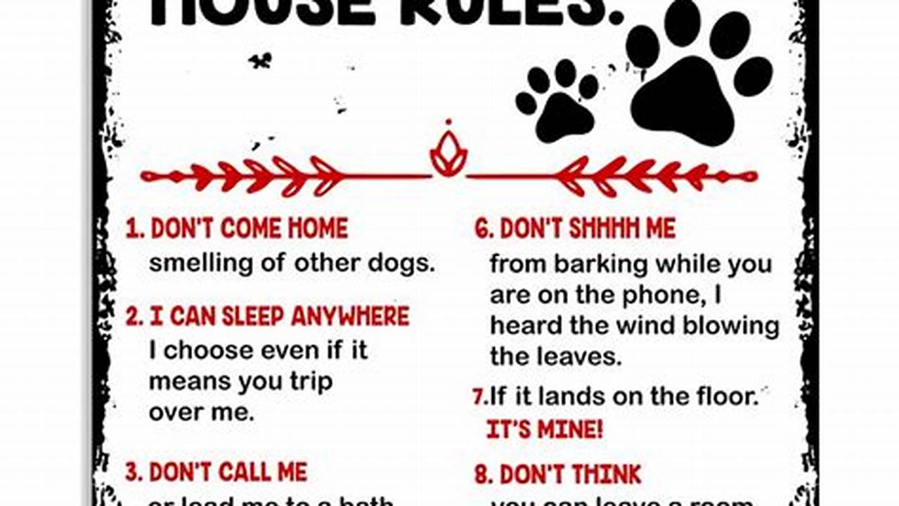 House Rules, Pet Friendly Hotel