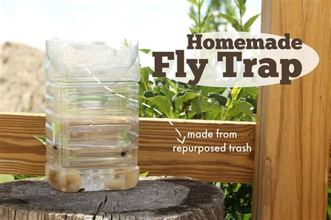 Finally Get Rid of Pesky House Flies with this Simple and Affordable DIY Trap!