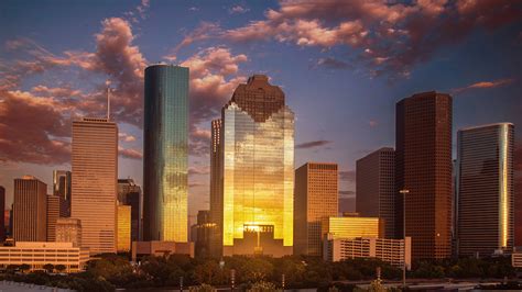 Unlocking Creativity: Discover Houston's Premier Animation Studio