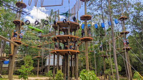 Fun Things to Do in Houston