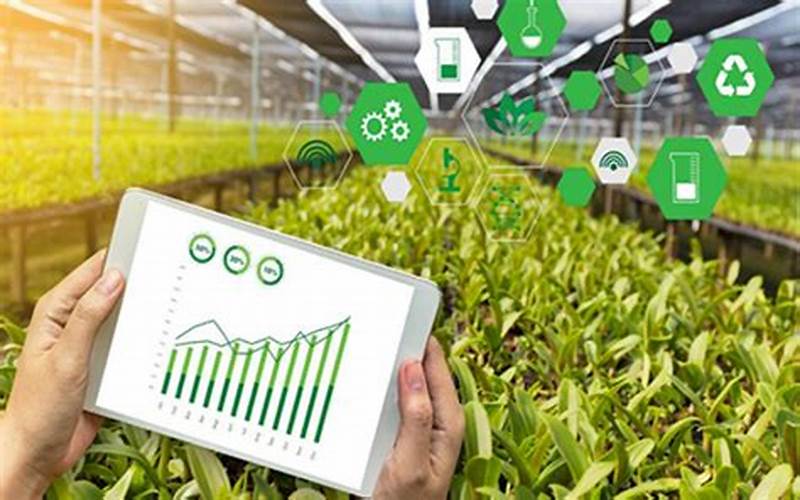 How Ai Is Improving Crop Management