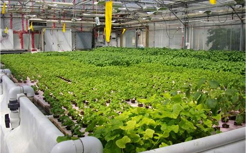 how aquaponics can benefit 3rd world countries