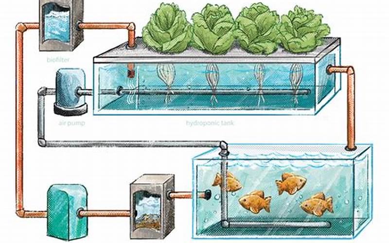 how are aquaponics and hydroponics similar