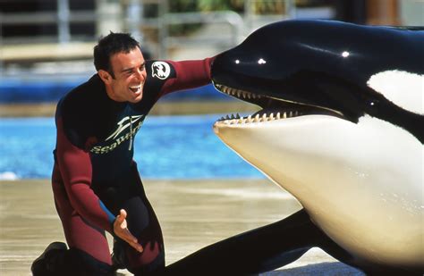 How Are Orca Trainers Trained?