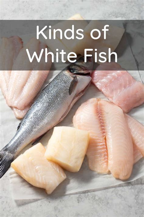 How Are White Fish and Whiting Fish Different?